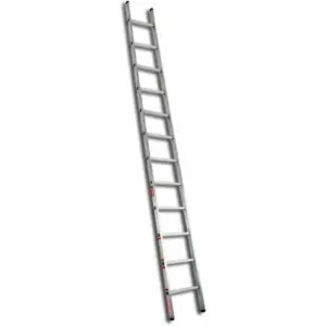 Escalera De Extensión 12 Escalones